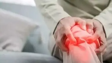 کاهش درد مفاصل در زمستان با این 6 ماده غذایی