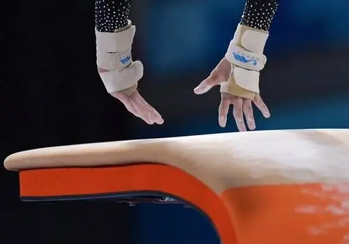 توضیحات جدید از پلمب فدراسیون ژیمناستیک