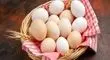 تخم‌مرغ؛ کلید طلایی سلامت مغز و پیشگیری از آلزایمر؟