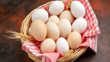 تخم‌مرغ؛ کلید طلایی سلامت مغز و پیشگیری از آلزایمر؟