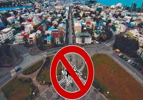 تنیس چطور به ورزش پادشاهان تبدیل شد؟