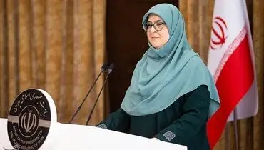 مهاجرانی: اعتبار کارت رفاهی 500میلیون تومان شد