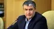 رییس سازمان انرژی اتمی ایران: اهداف برنامه هسته‌ای ایران شفاف و صلح‌آمیز است