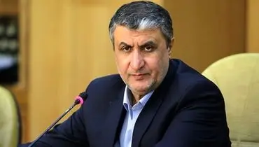 رییس سازمان انرژی اتمی ایران: اهداف برنامه هسته‌ای ایران شفاف و صلح‌آمیز است