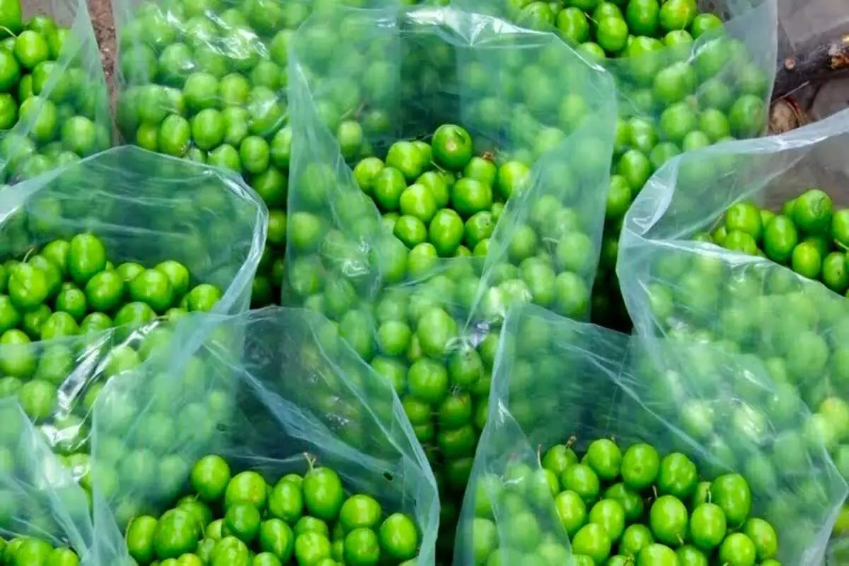 قیمت نجومی میوه های بهاری گوجه سبز چهار میلیون و چغاله بادام ۱.۵ میلیون تومان!
