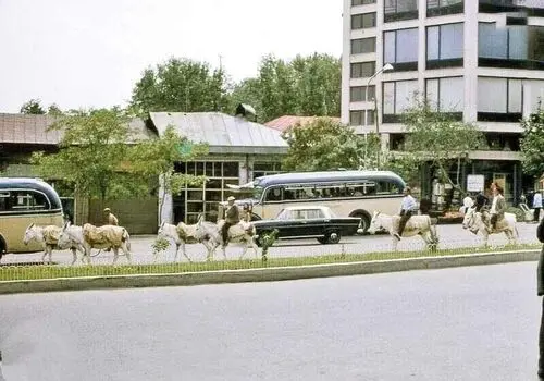 این تفریح دوران کودکی طول عمر را افزایش می‌دهد