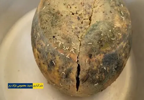با انواع پنیر یک سینی مزه لاکچری بچینید