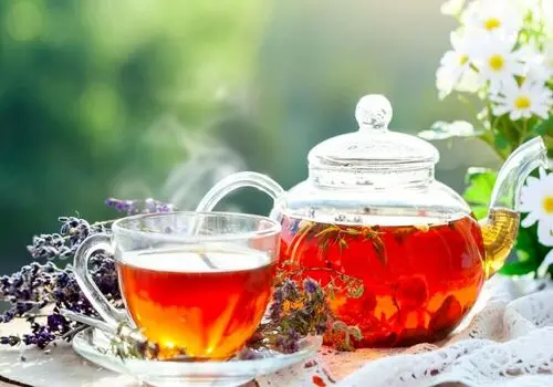 طالبان: ایمان داریم که «آب» باید محور منحصر به فرد برای همکاری باشد نه تعارض با همسایگان

