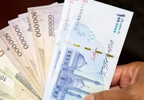 واریزی ویژه دولت حساب این افراد  شارژ شد