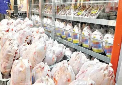 قیمت جدید مرغ در میادین تره‌بار | نرخ هر کیلو مرغ گرم اعلام شد