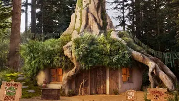 خانه‌ای به شکل خانه شرک در دل جنگل!+ فیلم