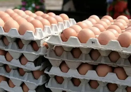 نکاتی جالب و کاربردی درباره تخم مرغ باید بدانید