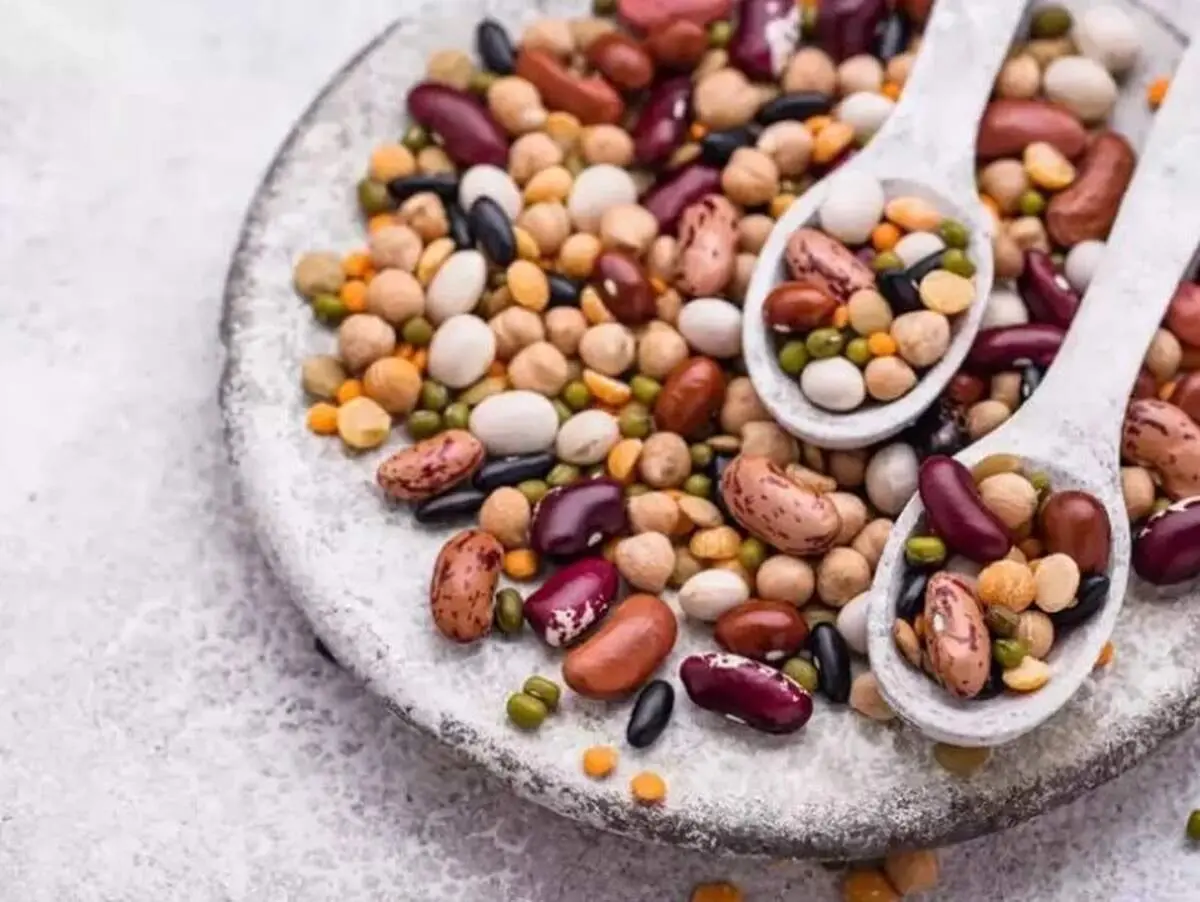 بهترین حبوبات برای سلامتی 