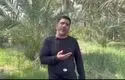ما نوکر شما هستیم + ویدئو | تنها کشتی‌گیر ایرانی ام که به آمریکایی نباختم | تصاویری از حضور علیرضا دبیر در جنوب کشور