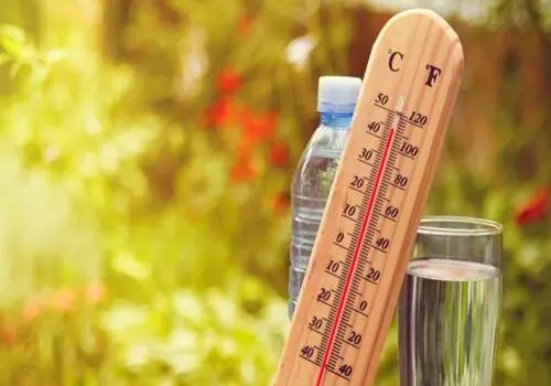 
ماندگاری هوای گرم در تهران تا این تاریخ؛ کاهش ۶ درجه‌ای دما از یکشنبه
