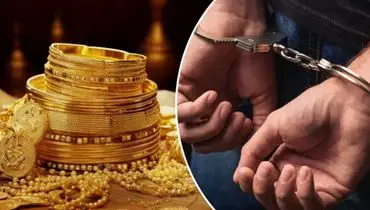 عملیات سارقان در ترکیه؛ ورود با «لیفتراک» و فرار نامتعارف با «الاغ» +فیلم