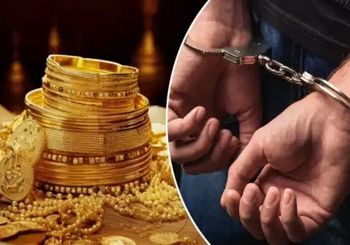 عملیات سارقان در ترکیه؛ ورود با «لیفتراک» و فرار نامتعارف با «الاغ» +فیلم