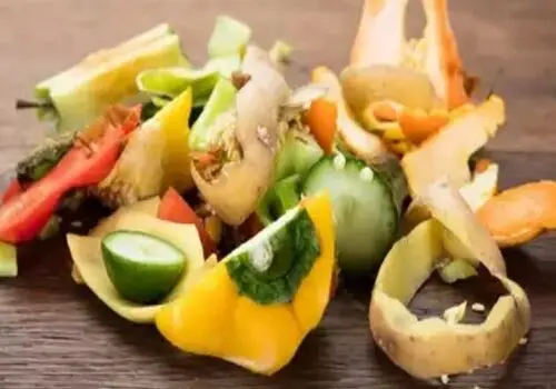 بهترین لباس زیر برای سفر: راحتی و سلامتی در اولویت
