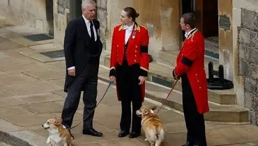 شاهزاده بی‌عنوان، در سایه خطر و رسوایی