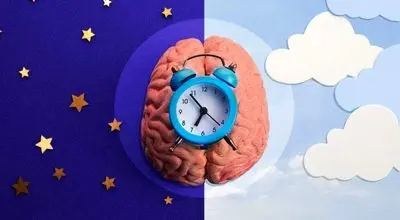 بدن شما چه ساعتی بیدارتر است؟ کشف تیپ زمانی خواب