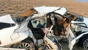 شجاعت مثال‌زدنی شیردختر بوشهری در صحنه تصادف+فیلم

