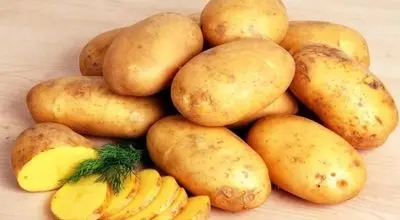 سیب‌زمینی؛ غذای ساده‌ای برای آرامش معده، کنترل قند خون و کمک به کاهش وزن!