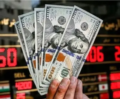 جزئیات فروش ۱۰۰۰ یورو به هر ایرانی اعلام شد +شرایط