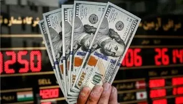 جزئیات فروش ۱۰۰۰ یورو به هر ایرانی اعلام شد +شرایط
