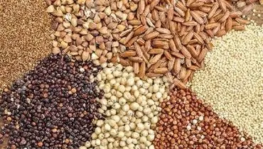 قیمت انواع نهاده های دامی و محصولات کشاورزی ۱۵ فروردین ۱۴۰۵ +جدول