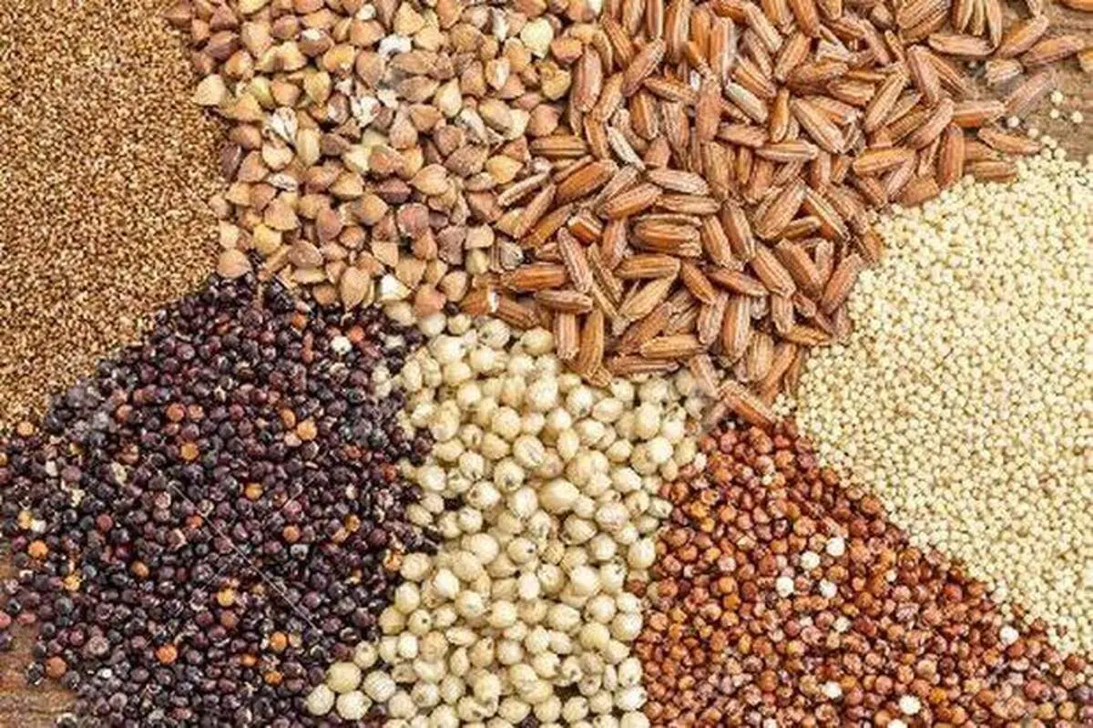 قیمت انواع نهاده های دامی و محصولات کشاورزی ۱۷ فروردین ۱۴۰۵