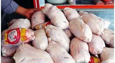 قیمت واقعی مرغ چند است؟
