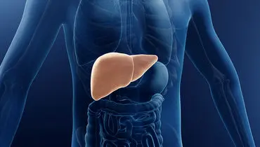 افزایش آنزیم‌های کبدی؛ دلایل و علائم هشداردهنده