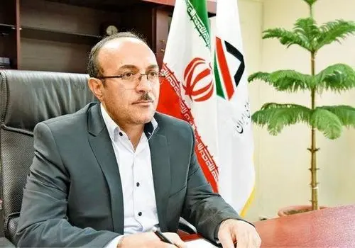 رییس گمرک از رفع مشکل دپو خودروها 