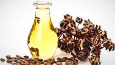 فرق روغن کرچک اصل و تقلبی در چیست؟