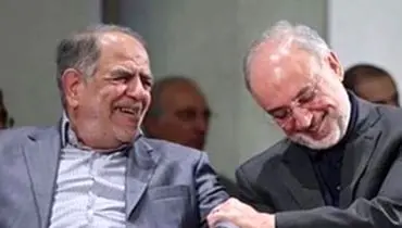 صالحی: به ناترازی در عقل هم توجه کنیم!
