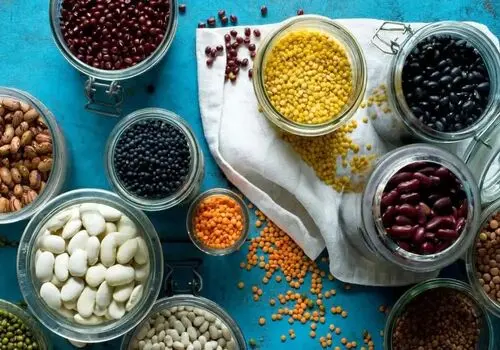 یک پژوهش مهم درخصوص پروتئین مورد نیاز بدن