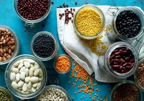 یک پژوهش مهم درخصوص پروتئین مورد نیاز بدن