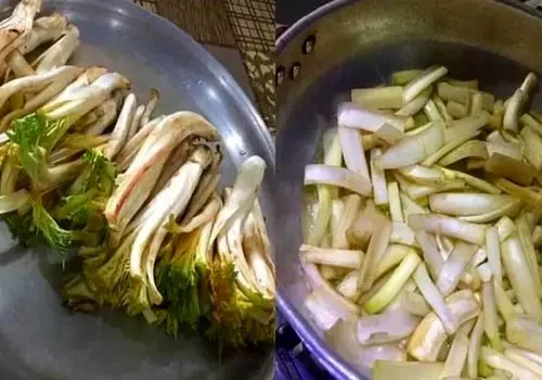 شام امشب با من: کوفته سماق کردی، طعمی اصیل و بی‌نظیر