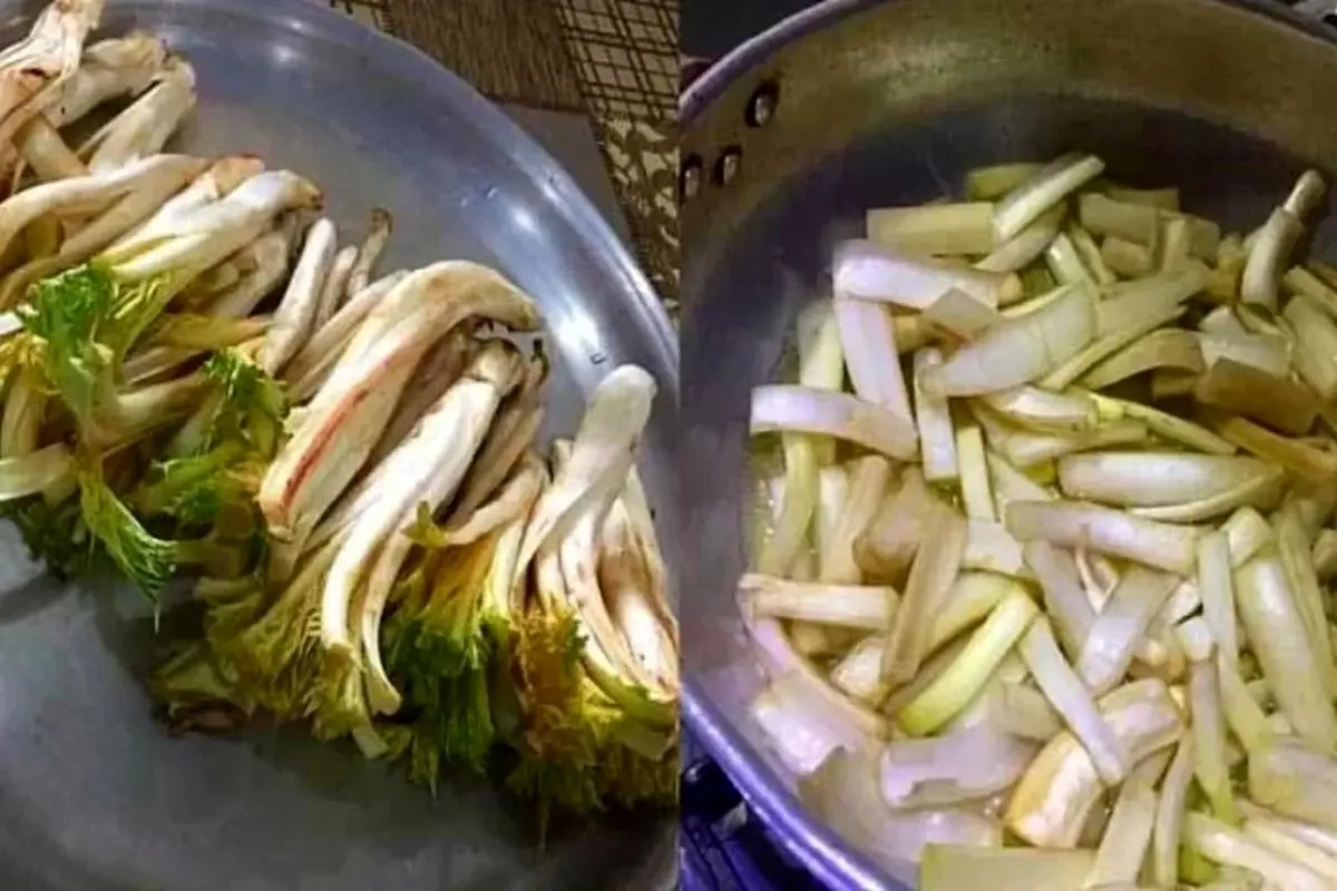 شام امشب با من: طعم متفاوت کنگر در یک پیشغذای مجلسی!
