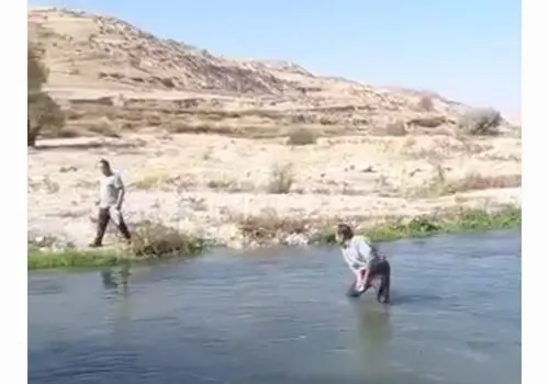 جدیدترین نرخ انواع ماهی در بازار امروز؛ ۱۴ آبان ۱۴۰۴