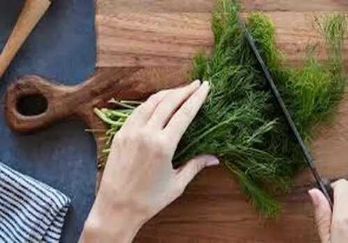  آش دوغ چند کالری دارد ؟