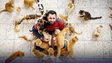 
بازار داغ حیوان خانگی از ۵ تا ۲۰۰ میلیون تومان! +جزئیات
