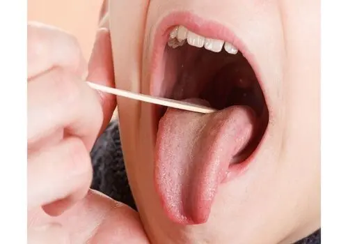 کشف سنگ گورِ پهلوی ساسانی در استان فارس

