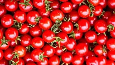  فواید و خواص شگفت‌انگیز دانه گوجه فرنگی
