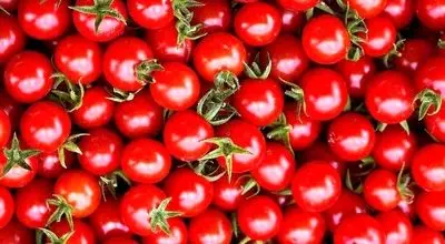  فواید و خواص شگفت‌انگیز دانه گوجه فرنگی
