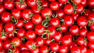  فواید و خواص شگفت‌انگیز دانه گوجه فرنگی
