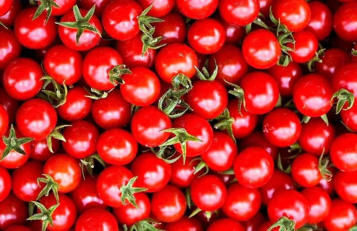  فواید و خواص شگفت‌انگیز دانه گوجه فرنگی
