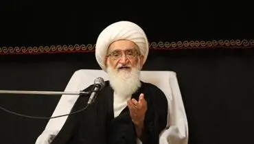 
آیت‌الله نوری همدانی: مذاکره با آمریکا باید از موضع قدرت باشد
