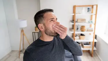 چگونه بوی بد خانه را از بین ببریم؟ راهکارهایی که واقعاً کاربردی هستند