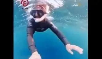 نجات معجزه‌آسای غواص زن از دهان نهنگ عظیم‌الجثه/ویدیو 